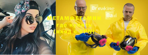 прущие грибы Богородск
