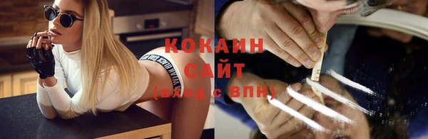 прущие грибы Богородск
