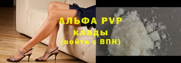 прущие грибы Богородск