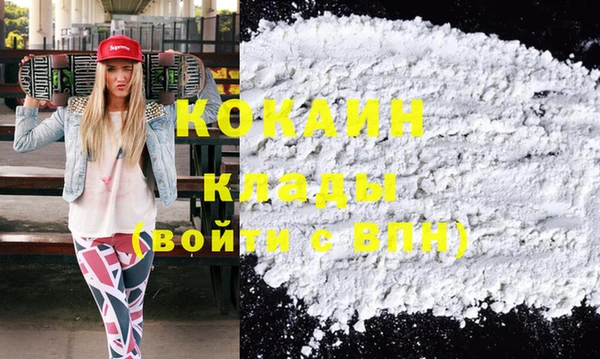 прущие грибы Богородск