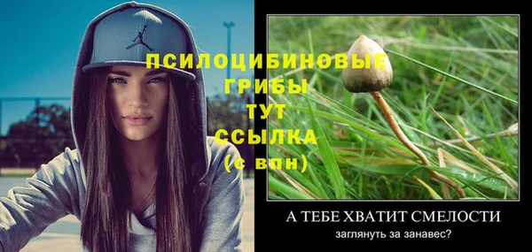 Альфа ПВП Богородицк