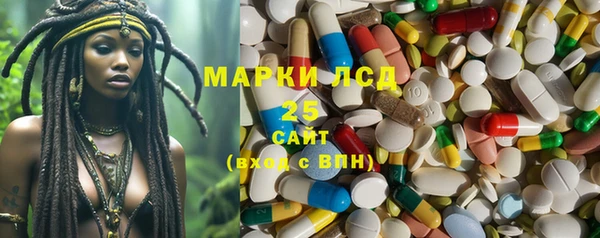 прущие грибы Богородск