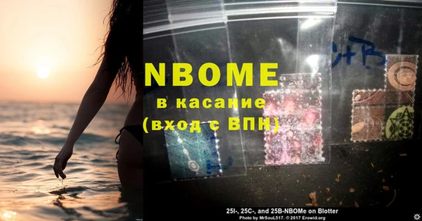 прущие грибы Богородск