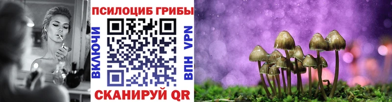 мега ссылка где купить наркоту Новое Девяткино Псилоцибиновые грибы Psilocybine cubensis